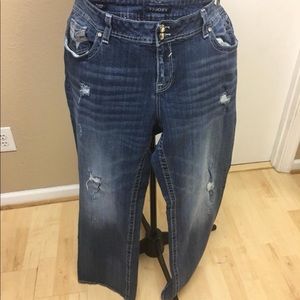 Plus size vigoss jeans size 24